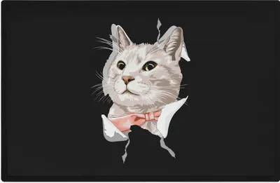 Produktbild von Trendation - Katzen Grafik Fußmatte Geschenk Katzenbesitzerin Lustige Katzen Fussmatte 60x40 cm