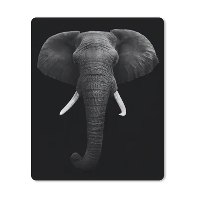 Produktbild von MuchoWow® Mauspad Mousepad Elefant - Wildtiere - Schwarz - Weiß - Porträt 19x23 cm - Mousepads - Maus Mat - Pad - Mausunterlage - Mauspads - Spielen