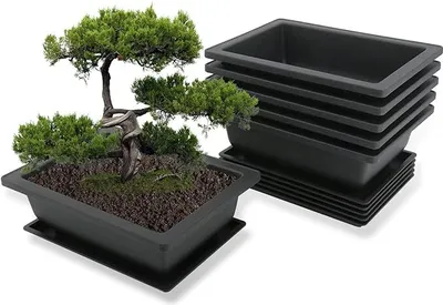 A bonsai tree in a pot with a stack of empty pots and saucers in the background.