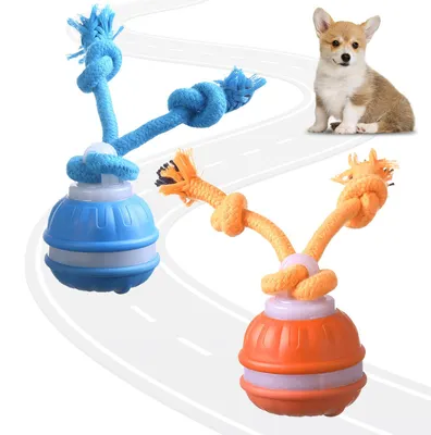 Interaktiver Hundeball mit Kabel, automatisch bewegend, blau+orange