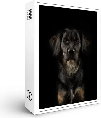 Image de puzzle premium raxxa "Merlin sur fond noir", 1000 pièces