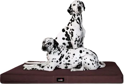 Produktbild von tierlando® Orthopädische Hundematratze ALICE VISCO Hundematte Hundebett S - XXL - Größe: 80x60cm | Farbe: 01 Braun