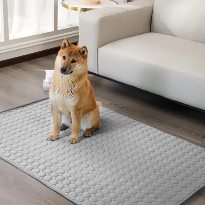 Produktbild von Kühlmatte für Haustiere 70 x 100 cm, rutschfest, für Hunde und Katzen, waschbar, für Sofa