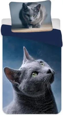 Produktbild von Sweet Home Bettbezug Poes 140 x 200 cm - 70 x 90 cm