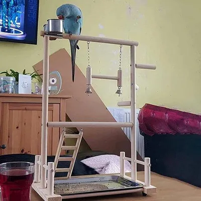 Produktbild von Vogelhütte für Papageien, Holzbauch, Fitness, Vogelstandart, mit Futterbechern, für Papageien, Falkenparkienen, Spielzeug, Trainingspiel (B: 36 x 23 x 53 cm)