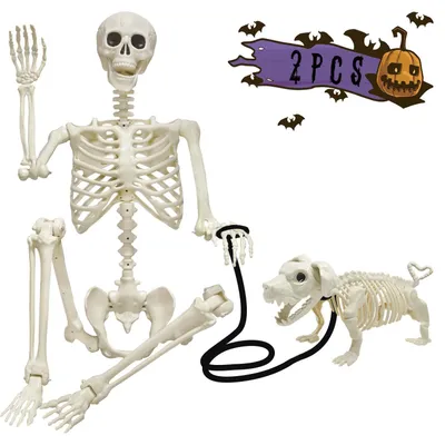 Produktbild von 90cm Halloween Skelett mit 50cm Hund- Komplettes Skelett mit Beweglichen Gelenken für die Beste Outdoor Indoor Halloween Dekoration, Garten, Haustür