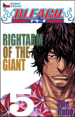Imagen del producto de Bleach 5: Right Arm of the Giant (Kubo Tite)