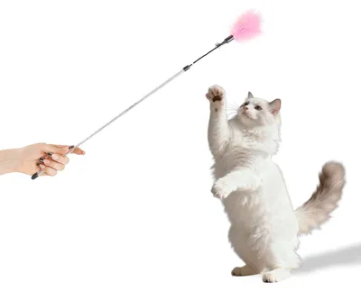 Produktbild von Katzenwedel mit Federkopf · animierendes Katzenspielzeug · 74 cm · rosa