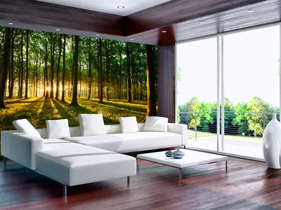 Produktbild von Vlies Fototapete Wald 400x280 cm Tapeten Wandtapete XXL Sonnenschein Bäume Natur Landschaft c-B-0027-a-b