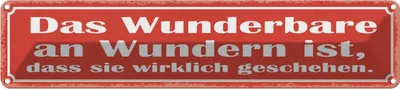Produktbild von vianmo Blechschild 10x46 cm das Wunderbare an Wundern ist Dekoration Spruch Zitat