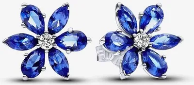 Produktbild von Pandora Frauen Ohrringe 292407C01