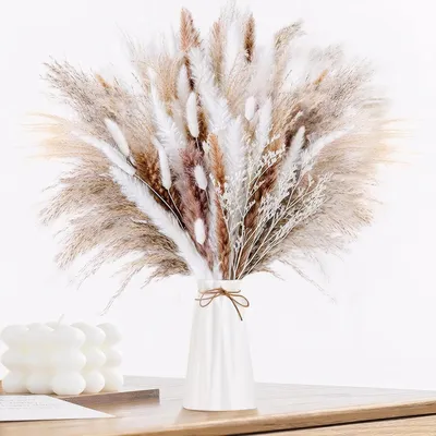 Produktbild von Pampasgras Getrocknet 60pcs Natürliche Trockenblumen Deko DIY Trockene Blüten Strauß,Pampasgras-Bouquet Schilfblume Deko Ideal for Boho Wohnzimmer-Schlafzimmer-und Vasen (LZGSGO-0104)