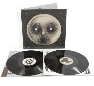 Obrázek produktu pro Steven Wilson - The Raven That Refused To Sing (Reissue) (2 LP)