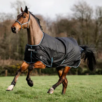 Image de Couverture de selle Bucas Weidedecke, taille 155 - Modèle Anniversary Turnout Light, 50g