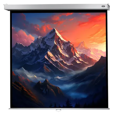 Produktbild von celexon Leinwand Rollo Professional Plus 120 x 120 cm - 67"