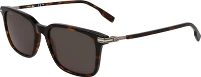 Image de LACOSTE L6035S 230 DARK HAVANA 53/18/145 MALE Lunettes de soleil