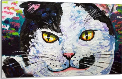 Produktbild von Glasschutzplatte für den Herd 80x52 Cat