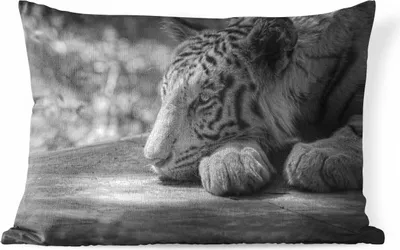 Produktbild von MuchoWow® Outdoor Kissen - Tiger - Wild - Porträt - 50x30 cm - Wetterfest - Lounge Kissen - Sofa kissen - Wohnzimmer Dekoration