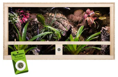 Produktbild von Repiterra® Terrarium Seitenbelüftung Holzterrarium OSB Holz Terrarien 100x50x50