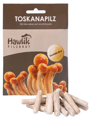 Produktbild von Hawlik Pilzbrut Toskanapilz Dübel – 20 Pilzdübel, Pilze züchten auf Holzstamm, Pilzzucht Freiland