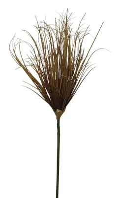 Produktbild von 2474U Kunstzweig Lampenputzer, Künstliches Lampenputzergras Naturbraun, 102 cm