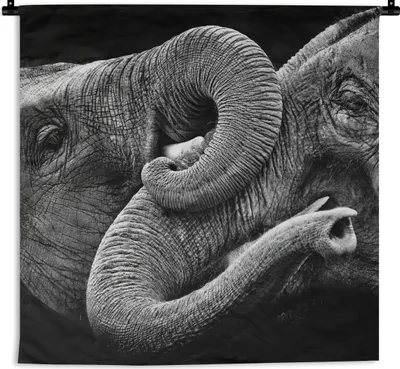 Produktbild von MuchoWow® Wandteppich Wandbehang Elefant - Tiere - Schwarz - Weiß 150x150 cm Tapisserie Dekoration Wandtuch - Wohnaccessoires - Modernes