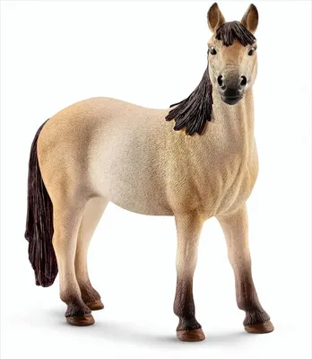Produktbild von Schleich - Tierfiguren, Mustang Stute; 13806