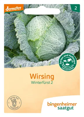 Artikelbild 2 von 'BIO Wirsing Winterfürst 2' aus der Kategorie Wirsingsamen