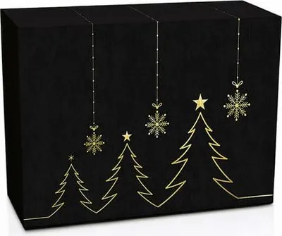 Image de Coffret haut de gamme pour 3 bouteilles de vin, NOIR, 360 x 260 x 93 mm