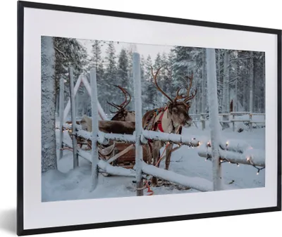 Produktbild von MuchoWow® Gerahmtes Poster Ein Rentier im Weihnachtsmanndorf in Finnland 60x40 cm - Poster mit Schwarzem Bilderrahmen Wandposter Rahmen Foto Bilder - Schlafzimmer - Plakat in Rahmen - Drucken
