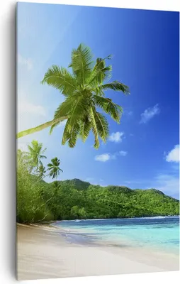 Produktbild von Bild auf Leinwand - Leinwandbild - Einteilig - Baum Dschungel Welle Landschaft - 80x120cm - Wand Bild - Wandbilder - Leinwanddruck - Wanddekoration - Leinwand bilder - Wandbild - PA80x120-3169