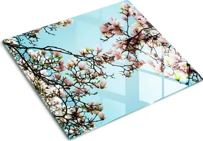 Obrázek produktu pro Kryt varné desky – Kryt na indukční desku – Ochranná skleněná deska – 60x52 cm – Skleněné ochranné desky na sporák –Tvrzené sklo –Květy magnólie