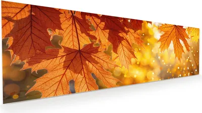 Produktbild von Glasbild 120x40cm in XXL für Wohnzimmer, Schlafzimmer Motiv Herbstblätter