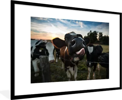 Produktbild von MuchoWow® Gerahmtes Poster Kuh - Tiere - Natur - Ausgezeichnete Zunge 90x60 cm - Poster mit Schwarzem Bilderrahmen Wandposter Rahmen Foto Bilder - Wanddekoration - Fotos