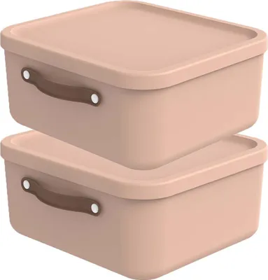 Produktbild von Rotho 2er-Set Aufbewahrungsbox 20 L Maloja - Kunststoffbox mit Deckel - Stapelbox 39,5 x 38,0 x 17,7 cm - Plastikbox Ordnungsbox Allzweckkiste