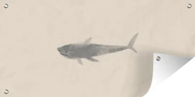 Produktbild von MuchoWow®