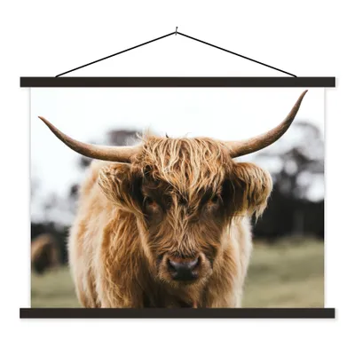 Produktbild von MuchoWow® Textilposter Schottischer Highlander - Kuh - Gras - Tiere - Natur 40x30 cm mit schwarzem Rahmen - Dekorationen