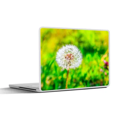 Produktbild von MuchoWow® Laptop Aufkleber Sticker Cover Löwenzahn - Gras - Blume 31x22.5 cm - Laptop-Deko