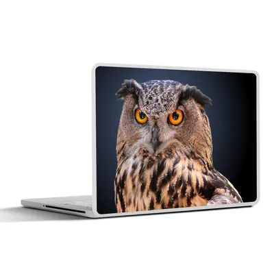 Produktbild von MuchoWow® Laptop Aufkleber Sticker Cover Eine Nahaufnahme einer braunen Eule 31x22.5 cm - Laptop-Deko
