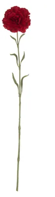 Image de ASA, sélection de décoration, diamètre 62 cm