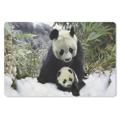 Produktbild von MuchoWow® Mauspad Mousepad Panda - Jungtier - Schnee 27x18 cm - Mousepads - Maus Mat - Pad - Mausunterlage - Büroartikel - Desk Matten