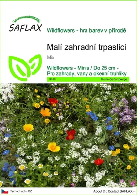 Obrázek produktu pro SAFLAX - Malí zahradní trpaslíci - Mix - 1000 Semena