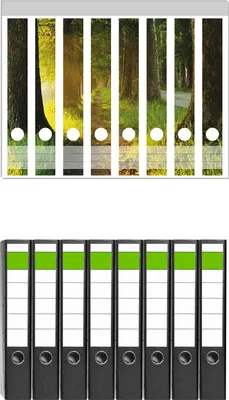 Produktbild von Wallario 8 Stück schmale Ordner inkl. Klebeetiketten mit Motive Allee bei Sonnenuntergang -  Set mit Rückenschildern / Ordnerrücken Stickern