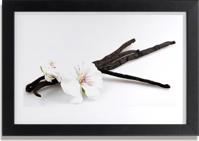 Produktbild von Bild 30x20 MDF-Rahmen Wandkunst Natur Blume Pflanze