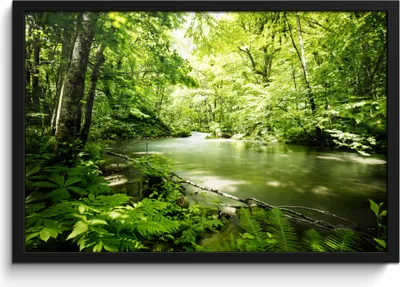 Produktbild von MuchoWow® MuchoWow® Gerahmtes Poster Wald - Baum - Wasser 60x40 cm - Poster mit zchwarzem Bilderrahmen - Printing - Wanddeko Schlafzimmer