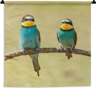 Produktbild von MuchoWow® Wandteppich Wandbehang Vögel - Tiere - Bienenfresser 90x90 cm Tapisserie Dekoration Wandtuch - Wandaufhänger
