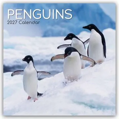 Immagine prodotto di Pinguini - Calendario da parete per 16 mesi, dal 2027