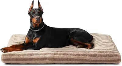 Obrázok produktu pre Pelech pre psov XXL 121x75x11 cm, plyš, protišmyková spodná časť, prateľný, pre veľké psy