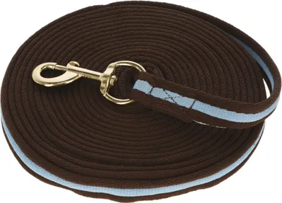 Immagine prodotto di Kerbl Longierleine Softlonge 8m Mischgewebe, Handschlaufe braun/hellblau 3222119