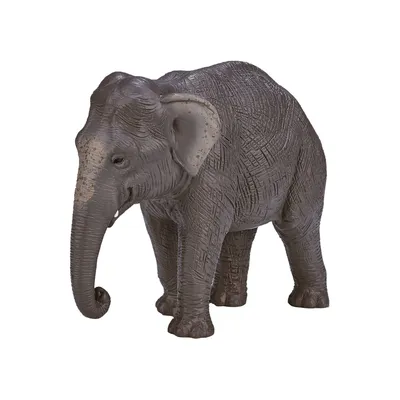 Image de Mojo Wildlife - Éléphant asiatique - 387266